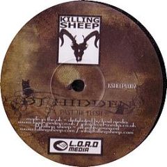 DJ Hidden - Past The Flesh - Killing Sheep