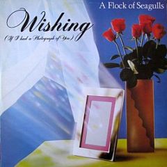 A Flock Of Seagulls - Wishing (If I Had A Photograph Of You) - Jive