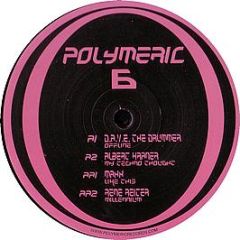Dave The Drummer & Albert Haaner - Offline / My Techno Thought - Polymeric