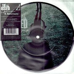 The Used - The Bird And The Worm (Picture Disc) - Reprise