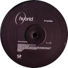 Hybrid - If I Survive (Remix) - Distinctive