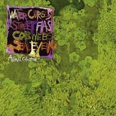 Animal Collective - Water Curse - Domino Records