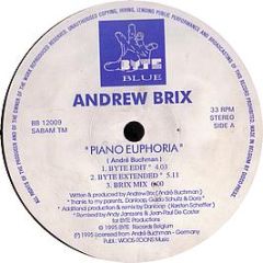 Andrew Brix - Piano Euphoria - B² (Byte Blue)