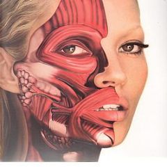 Damien Hirst Ft Kate Moss - Damien Hirst (Ltd Sleeve Artwork Of Kate Moss) - Dhkm 99