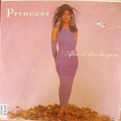 Princess - After The Love Has Gone - Next Plateau