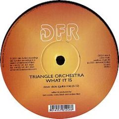 Triangle Orchestra - What It Is - Discfunction