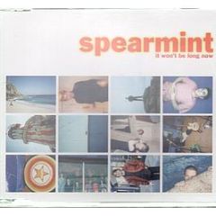 Spearmint - It Won't Be Long Now - Hitback 9Cd