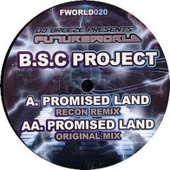 Bsc Project - Promised Land - Future World