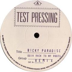 Ricky Paradise - Going Back To My Roots - OUT