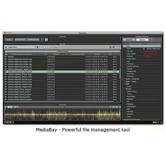 Steinberg Nuendo 5 - Music & Media Production Software - Steinberg