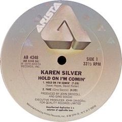 Karen Silver - Hold On I'm Comin - Arista
