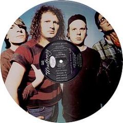 Mudhoney - Every Good Boy Deserves Fudge (Picture Disc) - Sub Pop