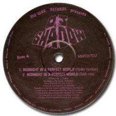 DJ Shadow - Midnight In A Perfect World - Mo Wax
