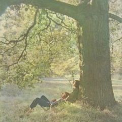 John Lennon / Plastic Ono Band - John Lennon / Plastic Ono Band - Apple