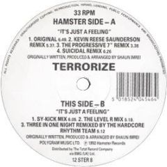 Terrorize - It's Just A Feeling (Remix) - Hamster