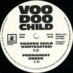 Voodoo Child - Voodoo Child - Instinct