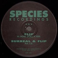  DJ Flip & Surreal - How Does It Feel - Species Recordings