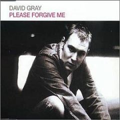David Gray - Please Forgive Me - Iht Records