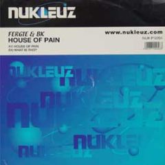 Fergie & Bk - House Of Pain - Nukleuz