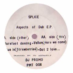 Splice - Aspects Of Dub EP - Pm Recordings