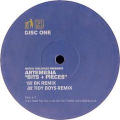 Artemesia - Bits And Pieces 2000 (Disc 1) - Tidy Trax