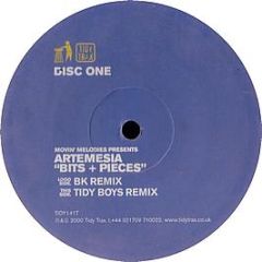 Artemesia - Bits And Pieces 2000 (Disc 1) - Tidy Trax