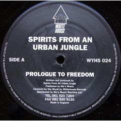 Spirits From An Urban Jungle - Prologue To Freedom - White House
