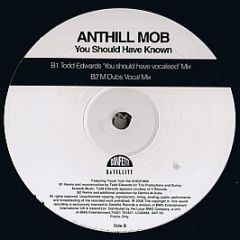 Anthill Mob - You Should Have Known - Confetti