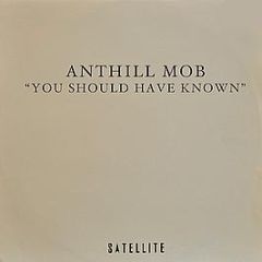 Anthill Mob - You Should Have Known - Satellite