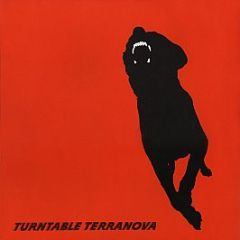Turntable Terranova - Penetrate / Precipice (Remix) - Compost