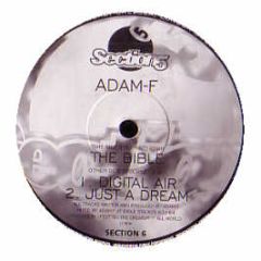 Adam F - The Bible - Section 5