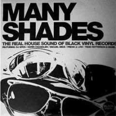 Black Vinyl Presents - Many Shades - Black Vinyl
