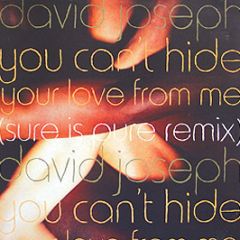 David Joesph - You Can Hide (Sure Is Pure Remix) - 4th & Broadway