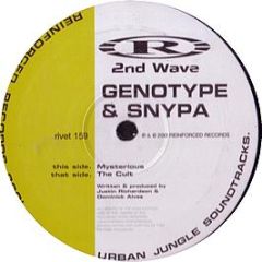 Genotype & Snypa - Mysterious / The Cult - Reinforced Records