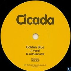 Cicada - Golden Blue - Critical Mass