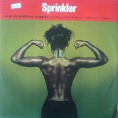 Sprinkler - Leave 'Em Something To Desire - Island Records