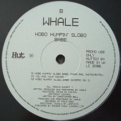 Whale - Hobo Humpin' Slobo Babe - Hut Recordings