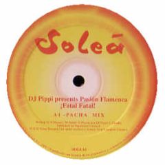 DJ Pippi Pres. Pasion Flamenca - Fatal Fatal - Solea 1