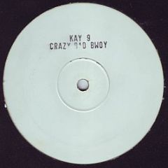 Kay 9 - Crazy Bad Boy - Section 5