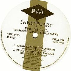 Wag Ya Tail Featuring Lonnie Liston Smith - Xpand Ya Mind (Expansions) - PWL Sanctuary