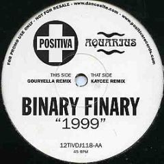 Binary Finary - 1999 - Positiva