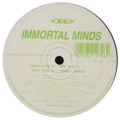 Immortal Minds - The City 3 - Reinforced
