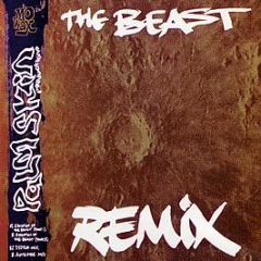 Palm Skin Productions - The Beast (Remix) - Mo Wax