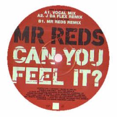 Mr Reds - Can You Feel It (Orig & Remix) - Ice Cream