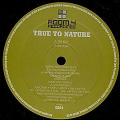 True To Nature - The Beat - Room 4 Recordings