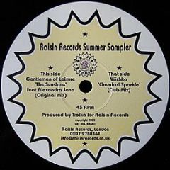 The Gentlemen Of Leisure / Mushka - Raisin Records Summer Sampler - Raisin Records