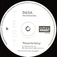 D.U.S.K. - Picture Me Falling - Duffnote Recordings