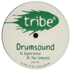 Drumsound - Experience - Tribe