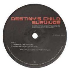 Destinys Child - Survivor - Columbia