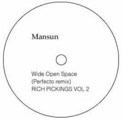 Mansun - Wide Open Space (Perfecto Remix) - Rich Pickings Vol 2